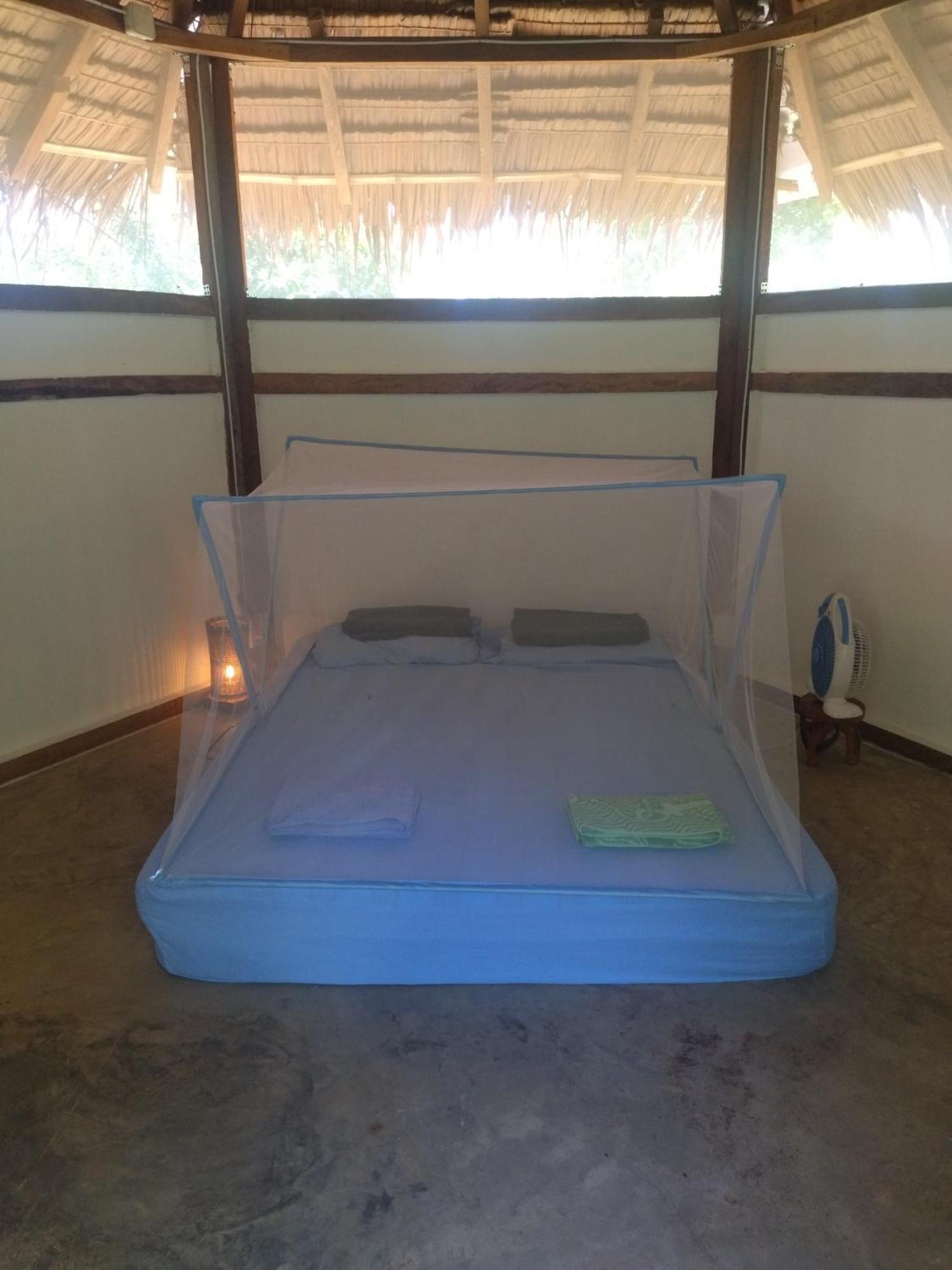 Little Nomads Eco-Guesthouse Сикихор Экстерьер фото